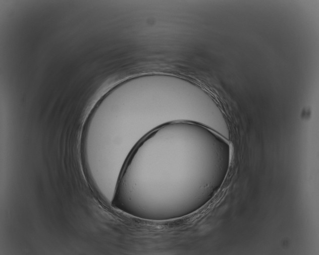 X0000094800195200711160948