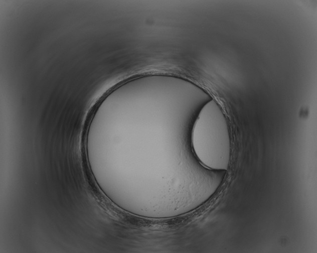 X0000094800196200711160948