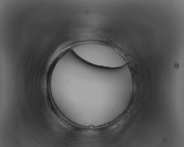 X0000094800198200711160948