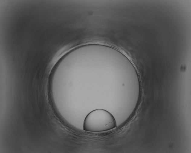 X0000094800199200711160948