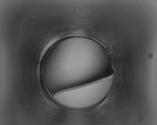 X0000094800200200711160948