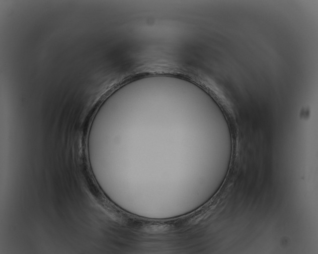 X0000094800202200711160948