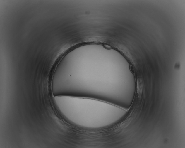 X0000094800204200711160948