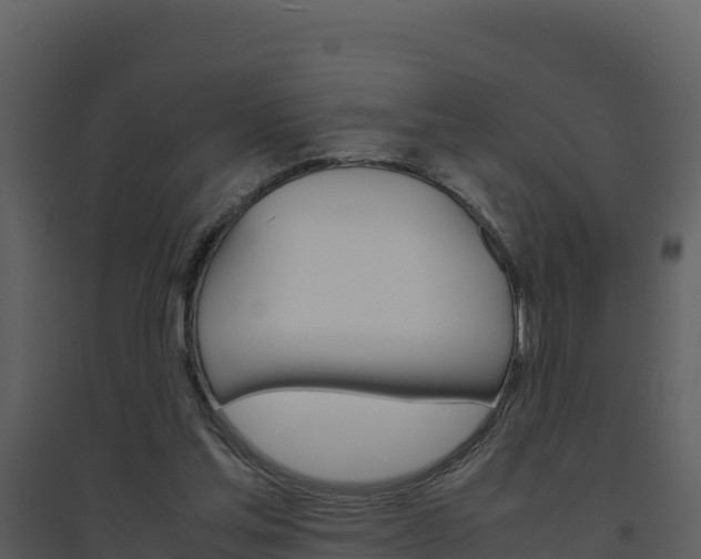 X0000094800205200711160948