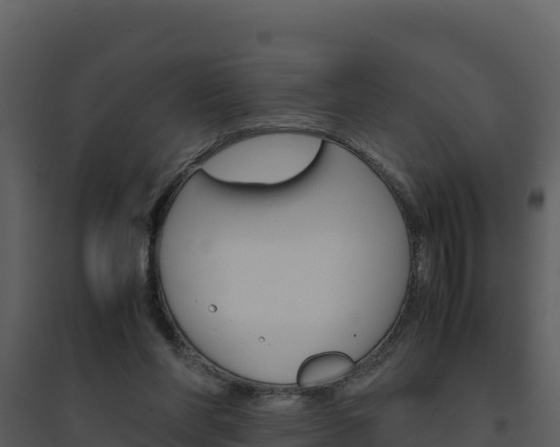X0000094800206200711160948