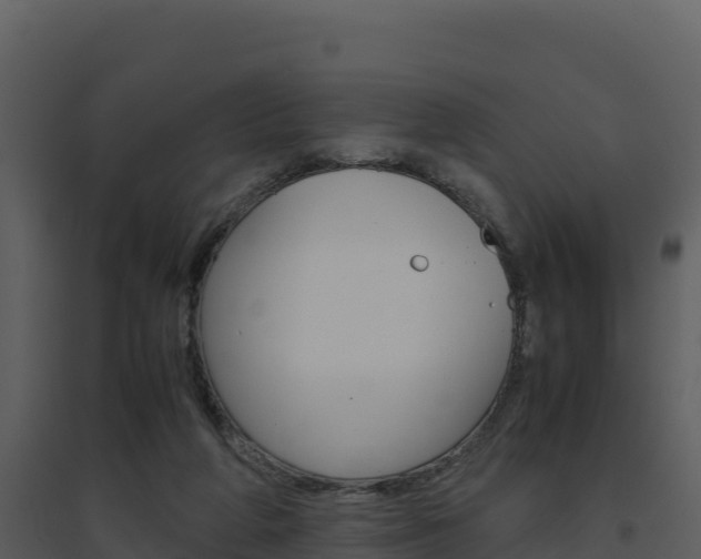 X0000094800210200711160948