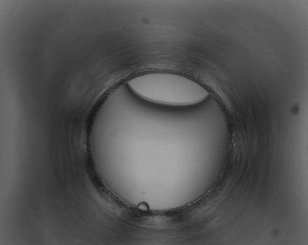 X0000094800212200711160948
