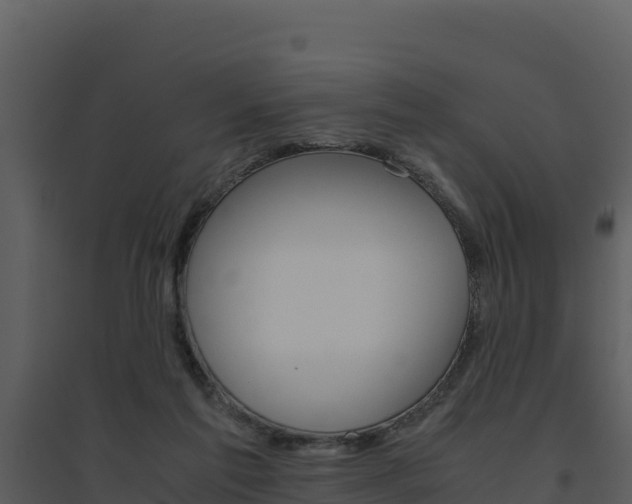 X0000094800213200711160948