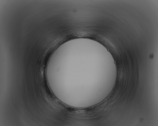 X0000094800214200711160948