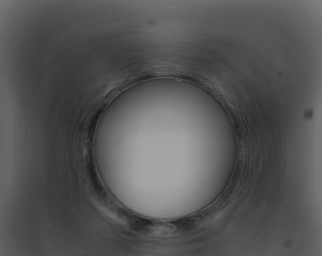 X0000094800215200711160948