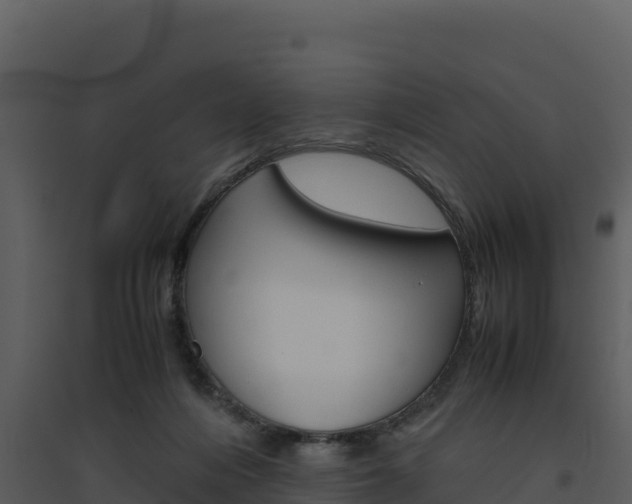 X0000094800216200711160948