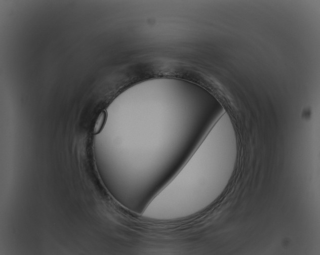 X0000094800217200711160948
