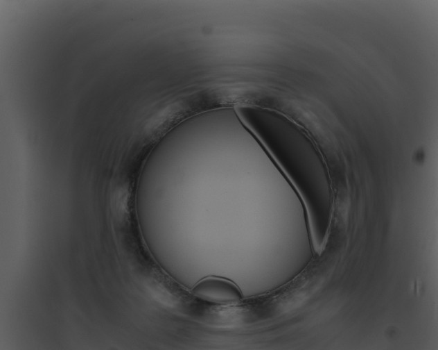 X0000094800219200711160948