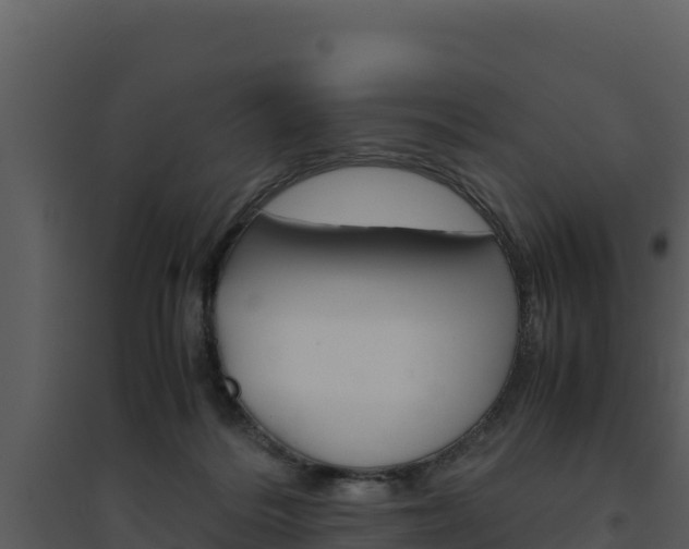 X0000094800220200711160948
