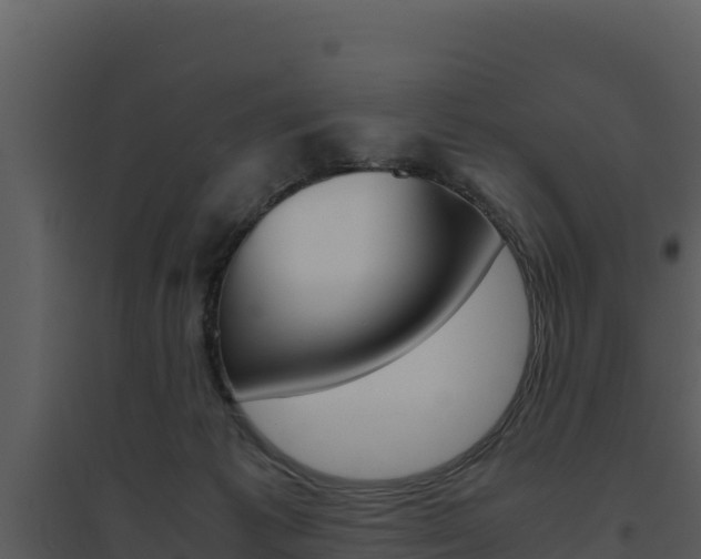 X0000094800221200711160948