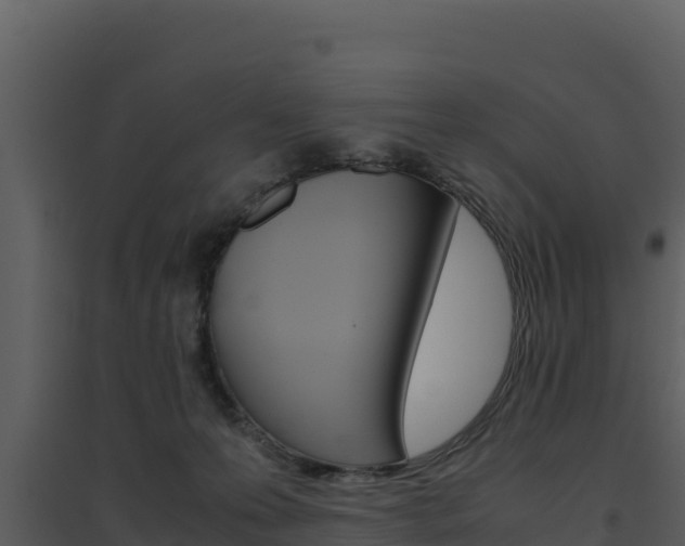X0000094800223200711160948