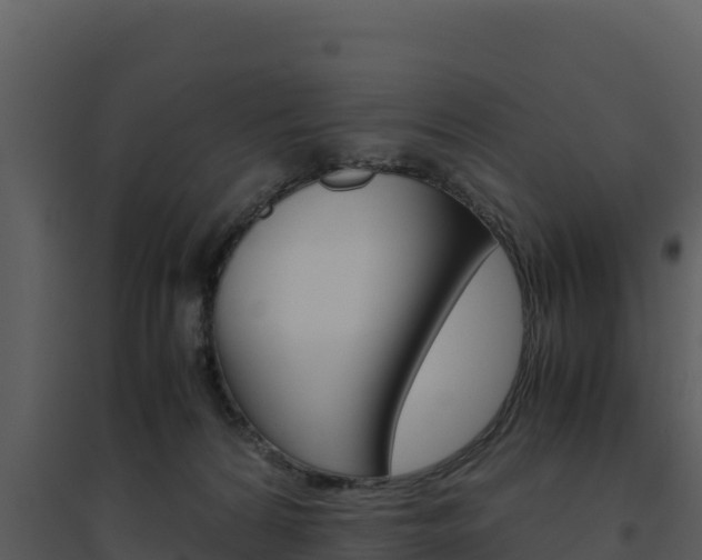 X0000094800224200711160948