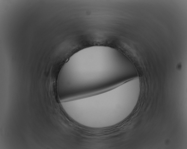 X0000094800225200711160948