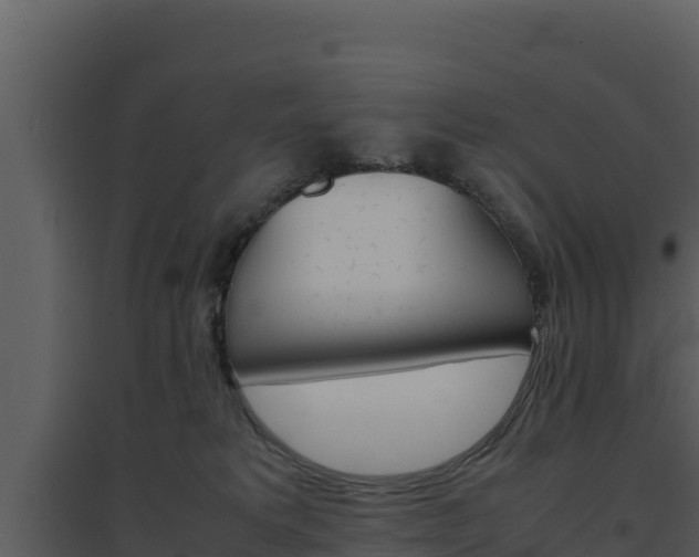 X0000094800229200711160948