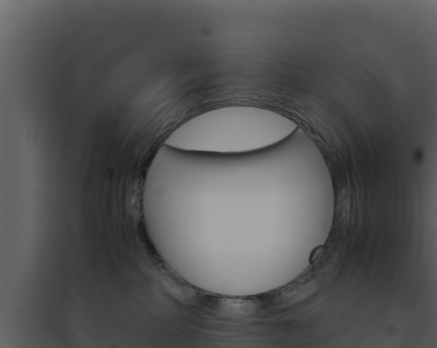 X0000094800234200711160948