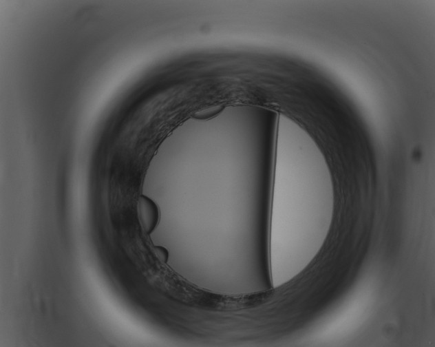 X0000094800239200711160948