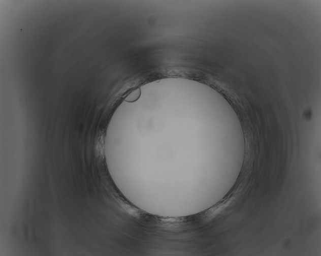 X0000094800240200711160948