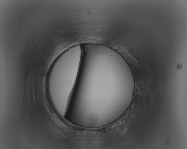 X0000094800242200711160947