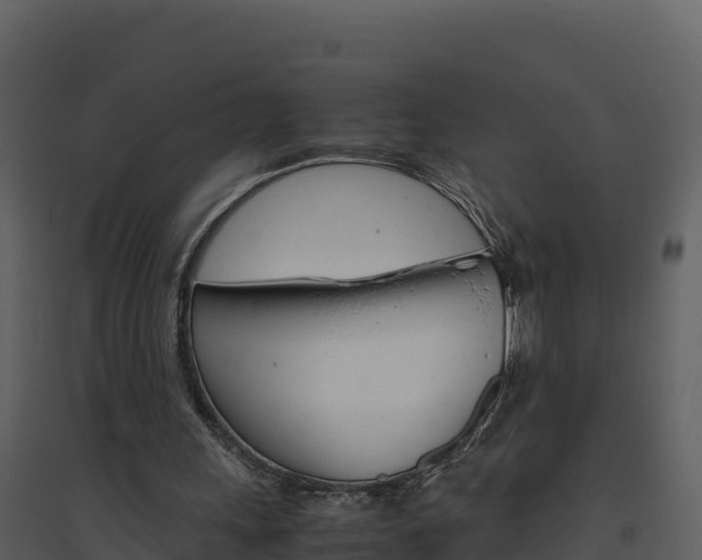 X0000094800243200711160947
