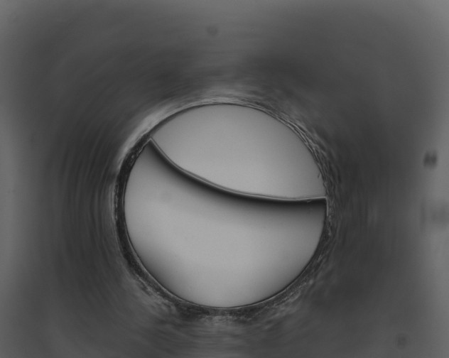 X0000094800244200711160947
