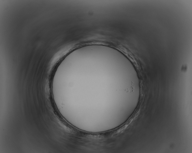 X0000094800245200711160947