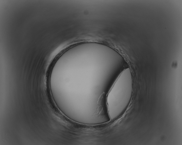X0000094800246200711160947