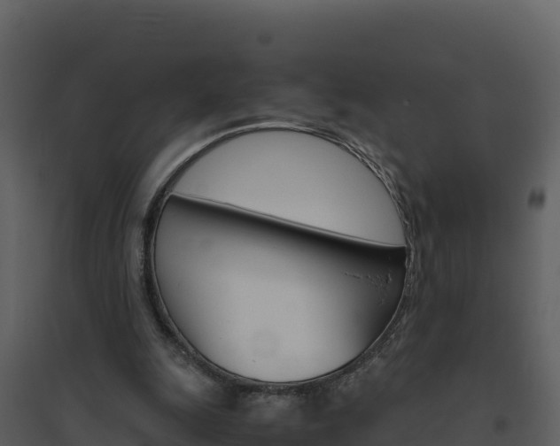 X0000094800247200711160947