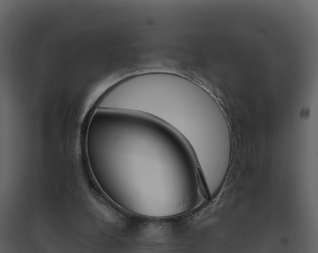 X0000094800248200711160947