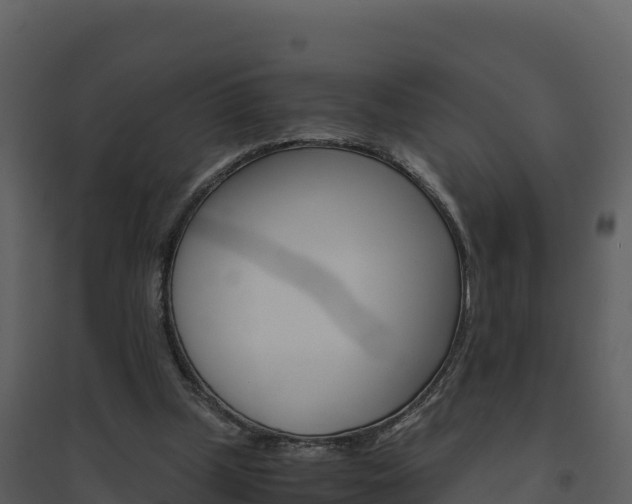 X0000094800249200711160947