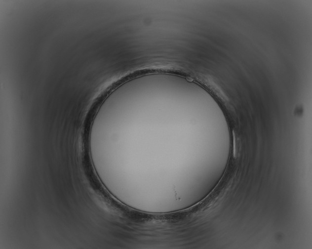 X0000094800252200711160947
