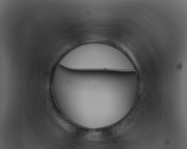 X0000094800257200711160947