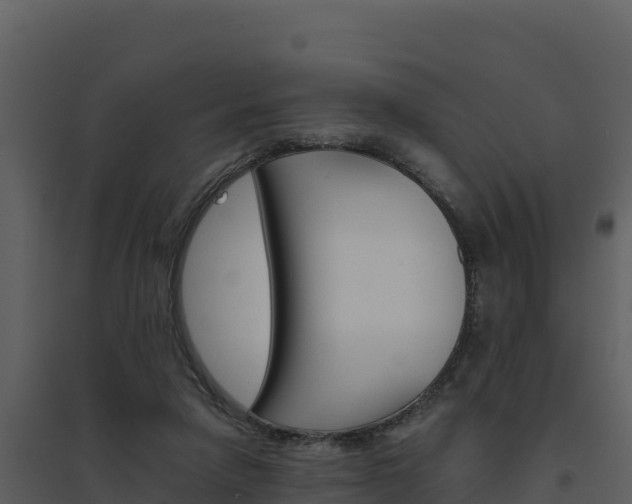 X0000094800258200711160947