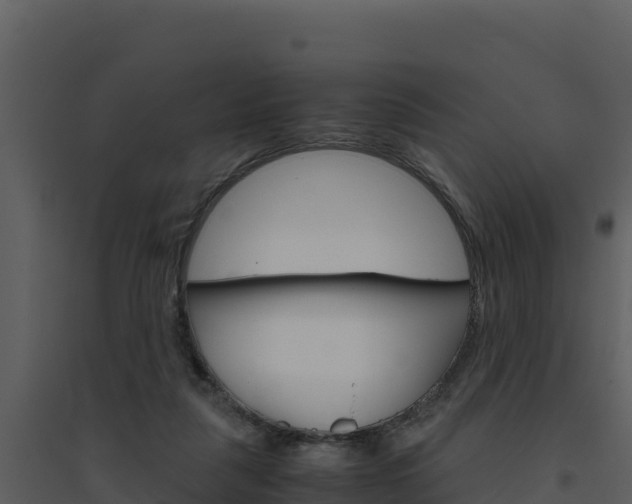 X0000094800259200711160947