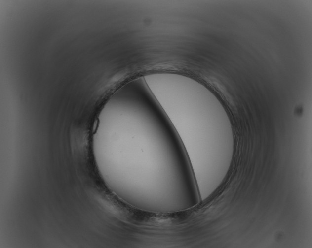X0000094800260200711160947