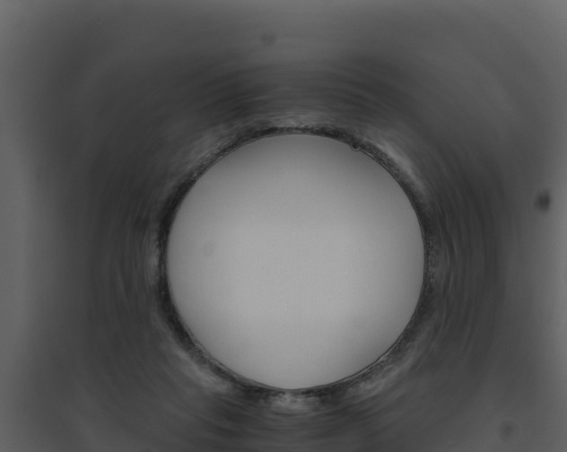 X0000094800261200711160947