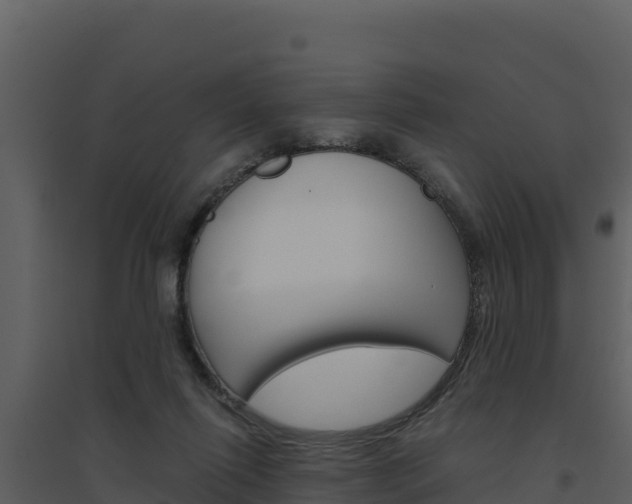 X0000094800262200711160947