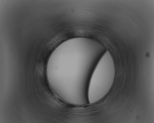 X0000094800266200711160947