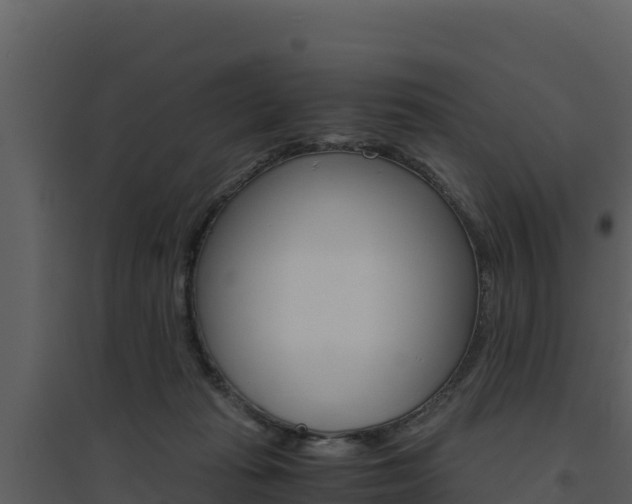 X0000094800269200711160947