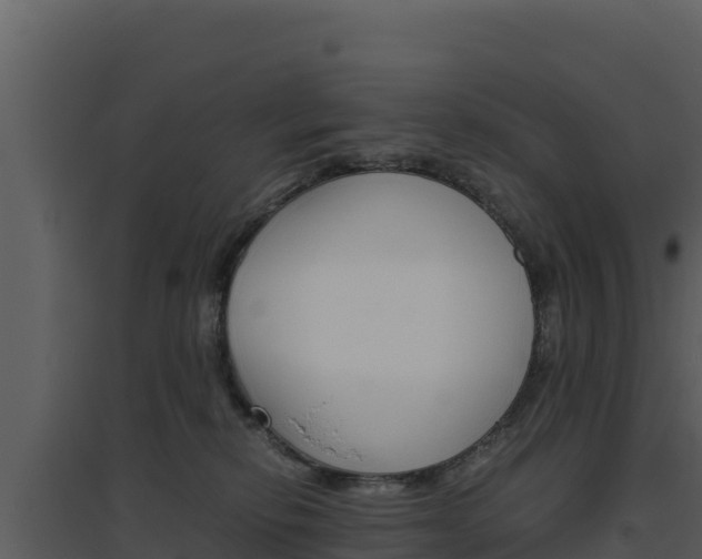 X0000094800278200711160947