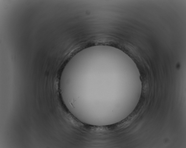 X0000094800282200711160947