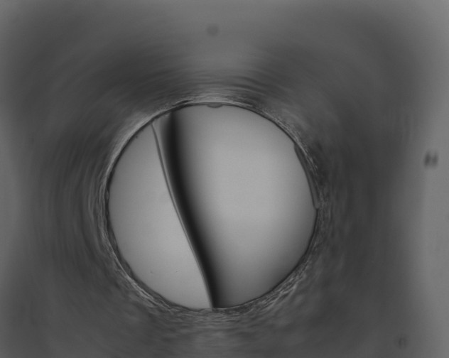 X0000094800289200711160947