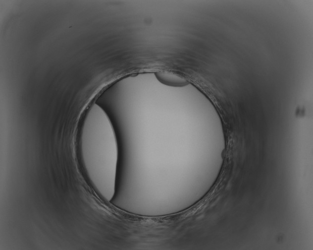 X0000094800290200711160947