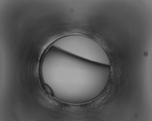 X0000094800292200711160947