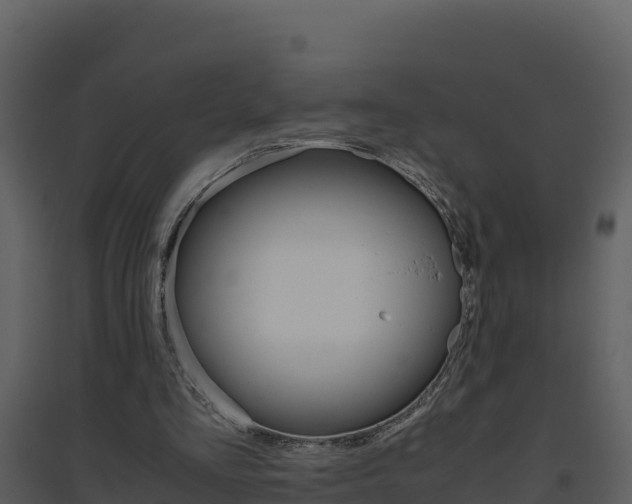 X0000094800293200711160947