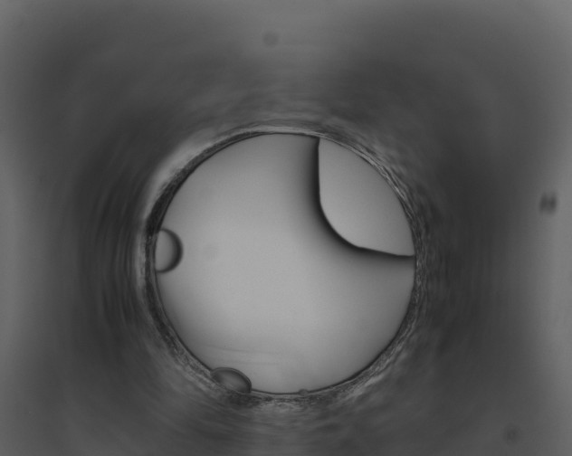 X0000094800294200711160947